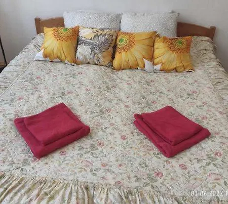 For Guests